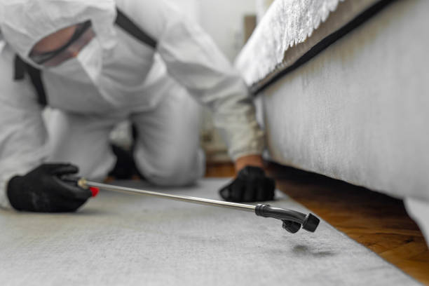 Professional Cockroach Control technician working in Hudson Bend, TX