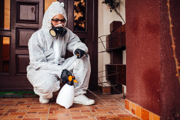 Reliable Cockroach Control contractor in Hudson Bend, TX by Nex Pest Control